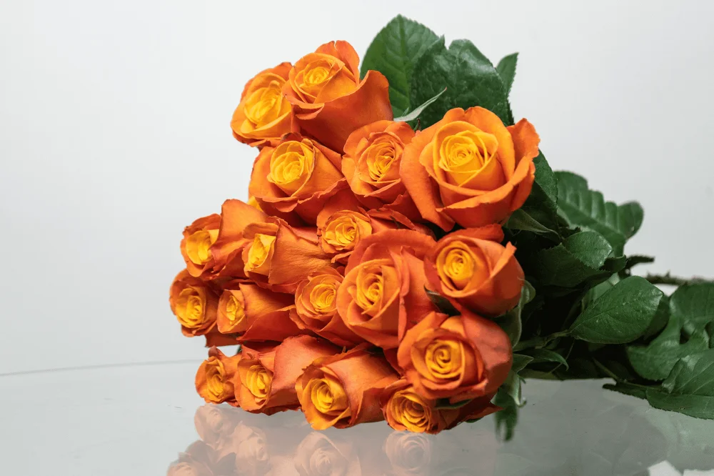 Confidential orange roses from Kikwetu