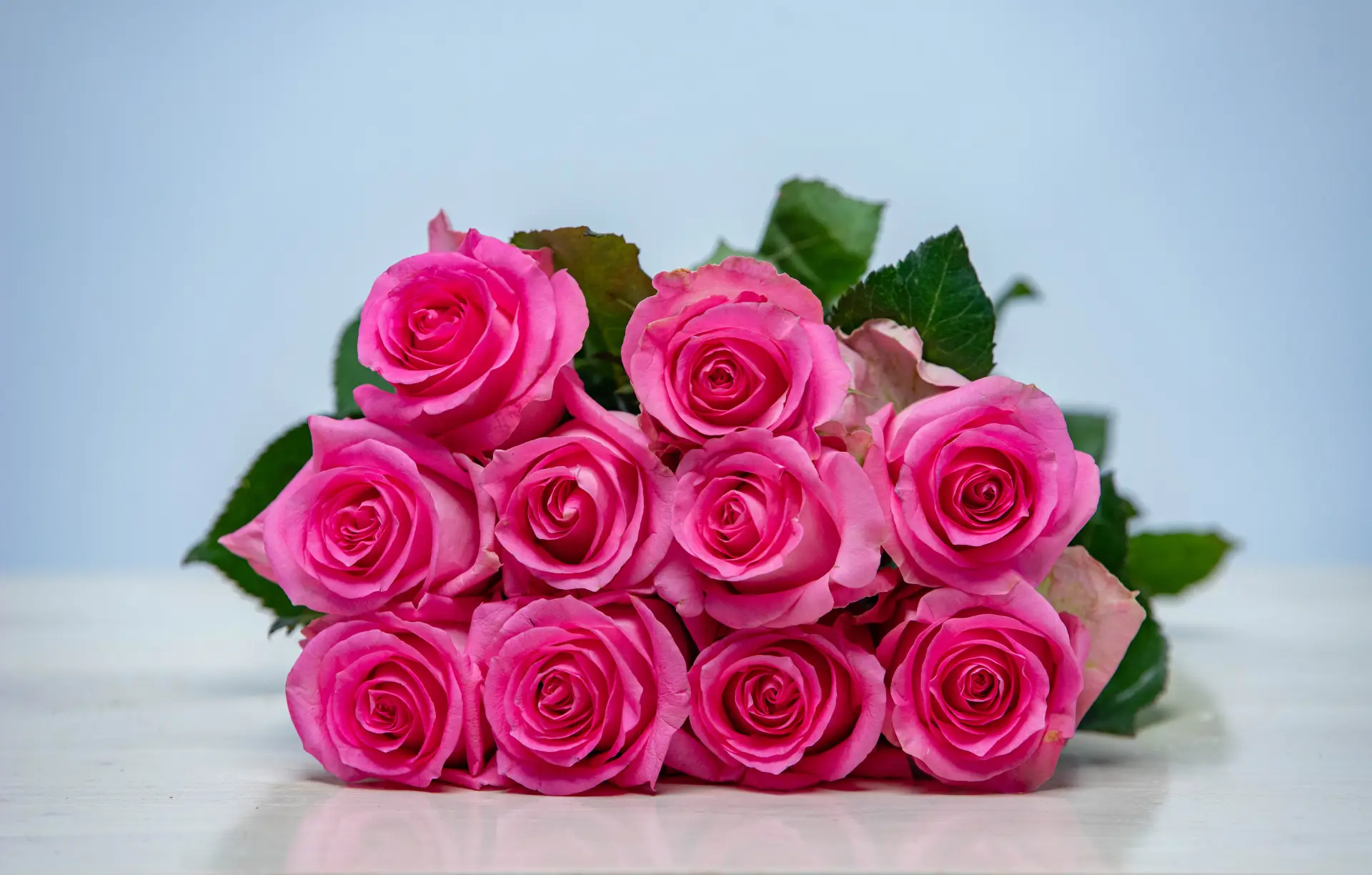 Revival roses grown by Kikwetu