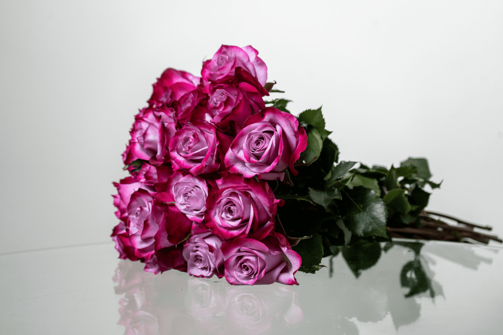 wholesale mother's day roses
