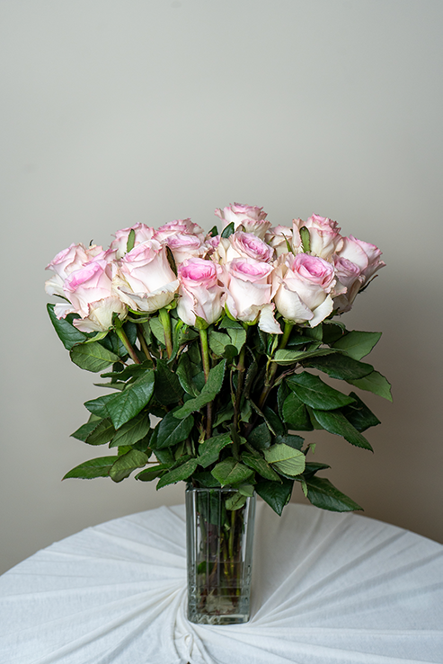 Mandala Roses