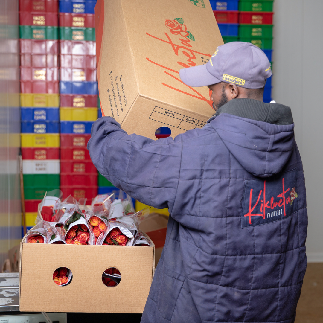 cold chain logistics