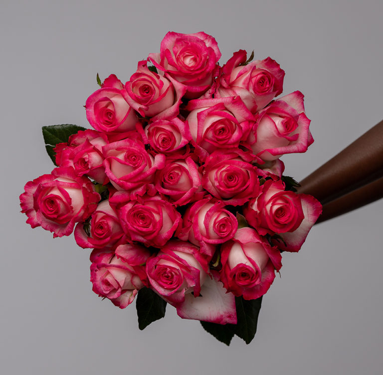 Fluence Roses Kikwetu Flowers