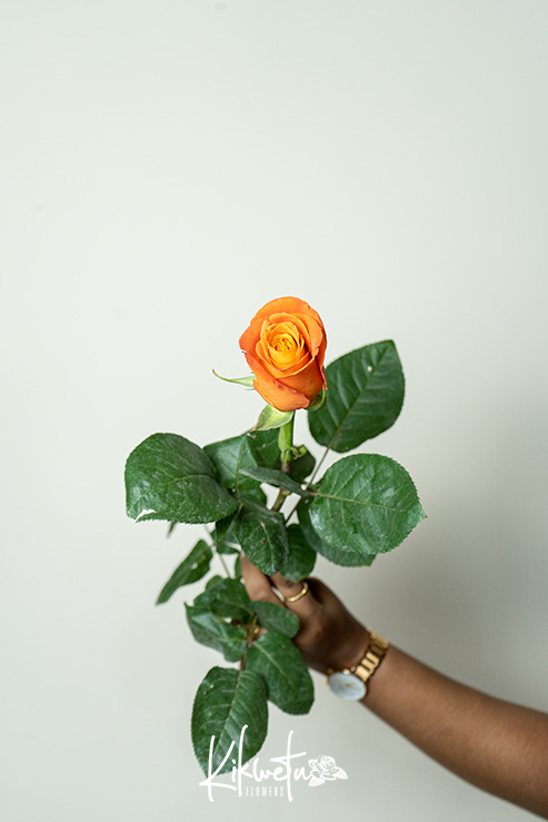 Confidential Roses - Kikwetu Flowers