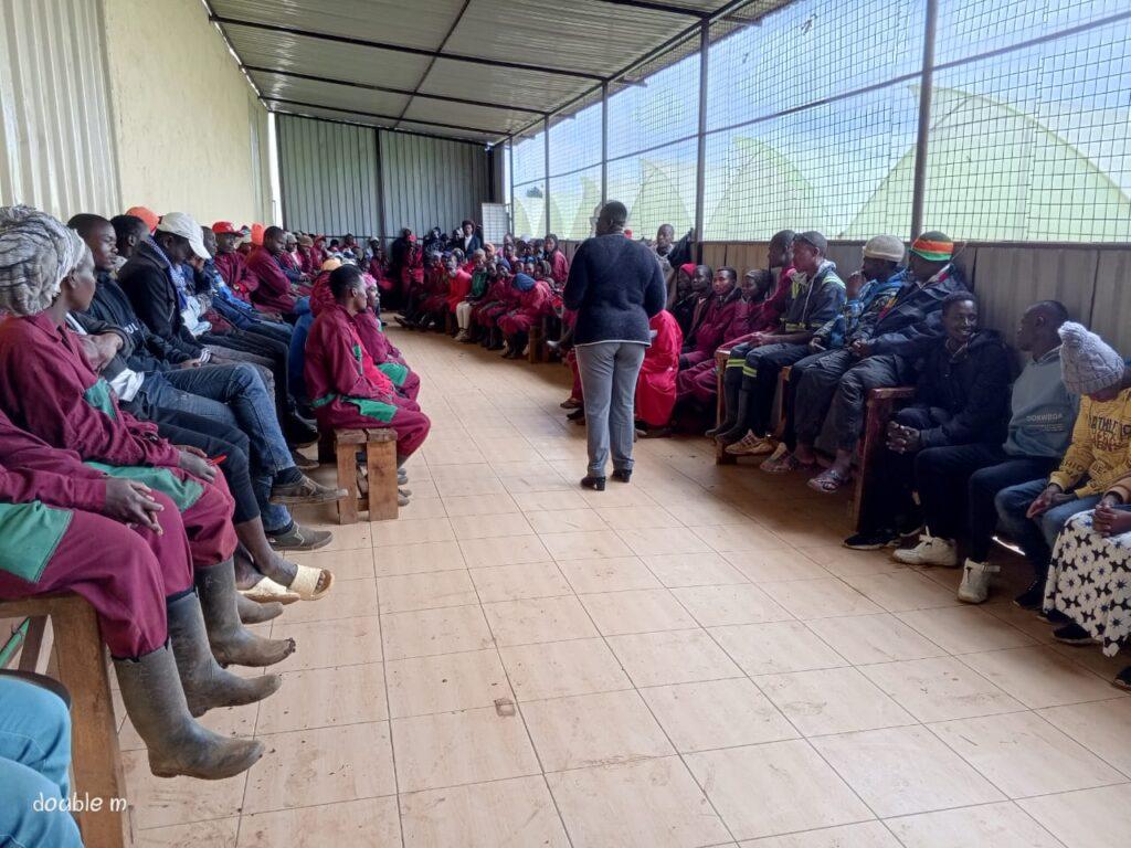 Corporate Social Responsibity at Kikwetu