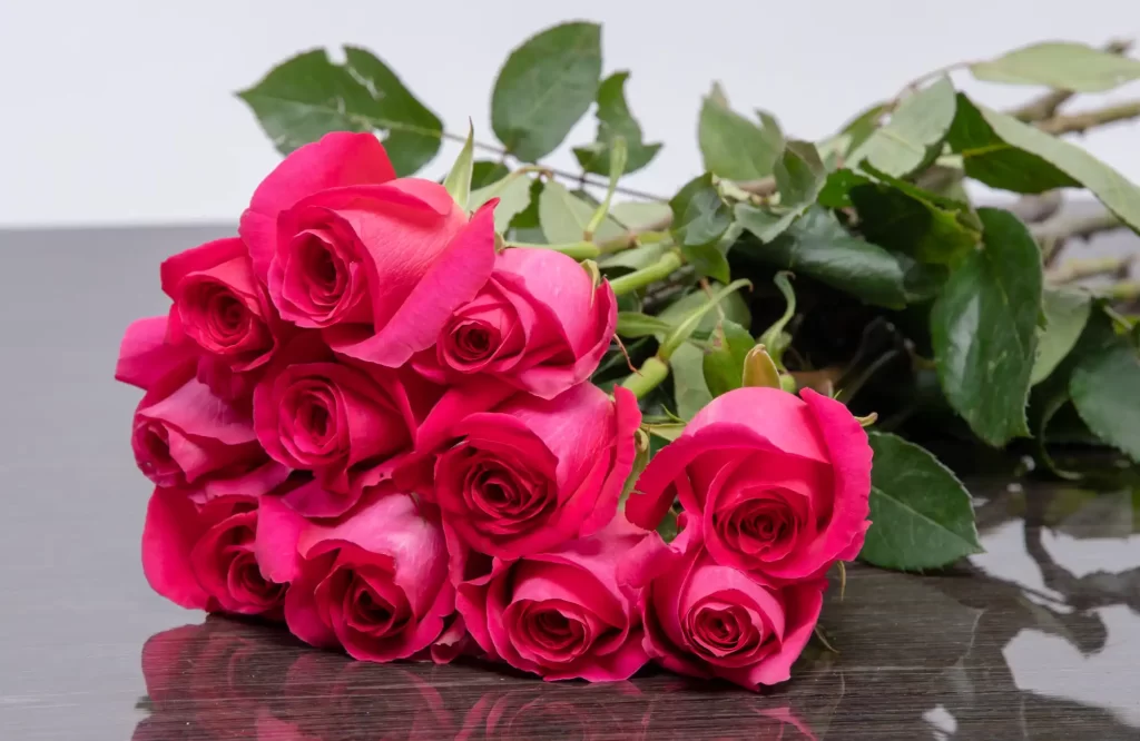 The face of resilience in pink floyd