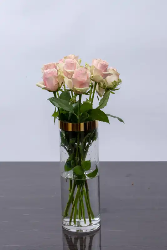 pink athena- kikwetu roses