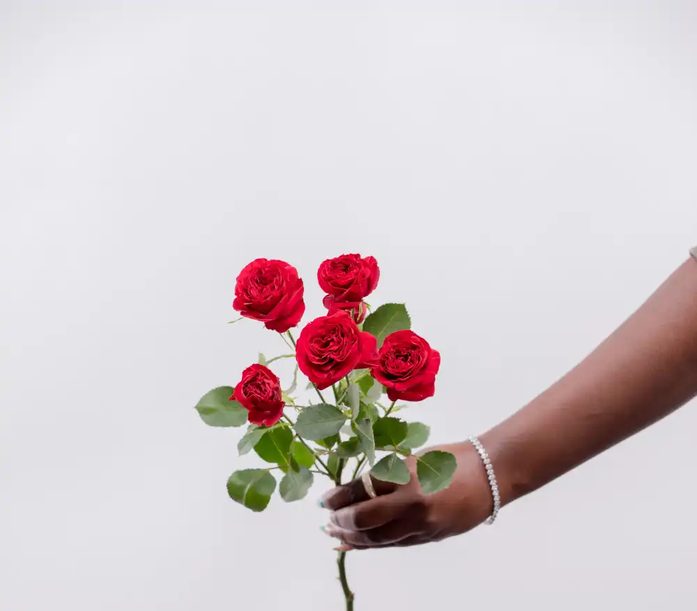 red trend setter kikwetu flowers