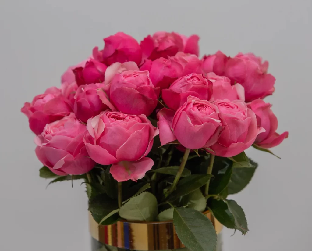 resilience isn’t just about the fight — it’s about what follows