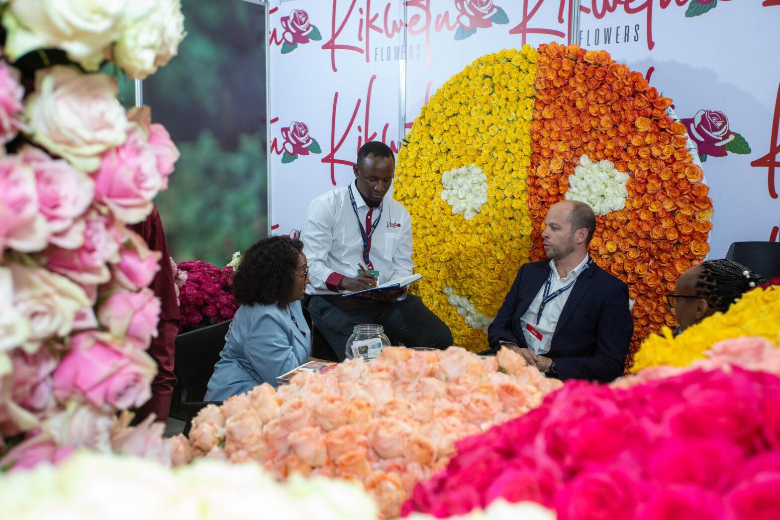 premium kenyan roses by kikwetu flowers