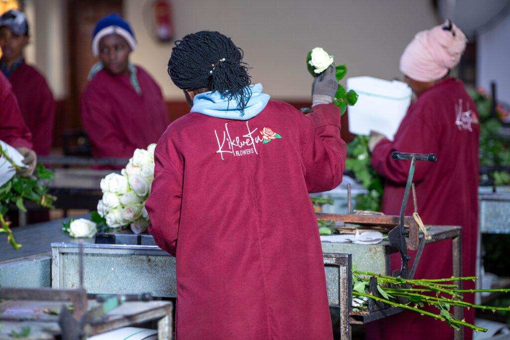 Transparency in floriculture at kikwetu flowers
