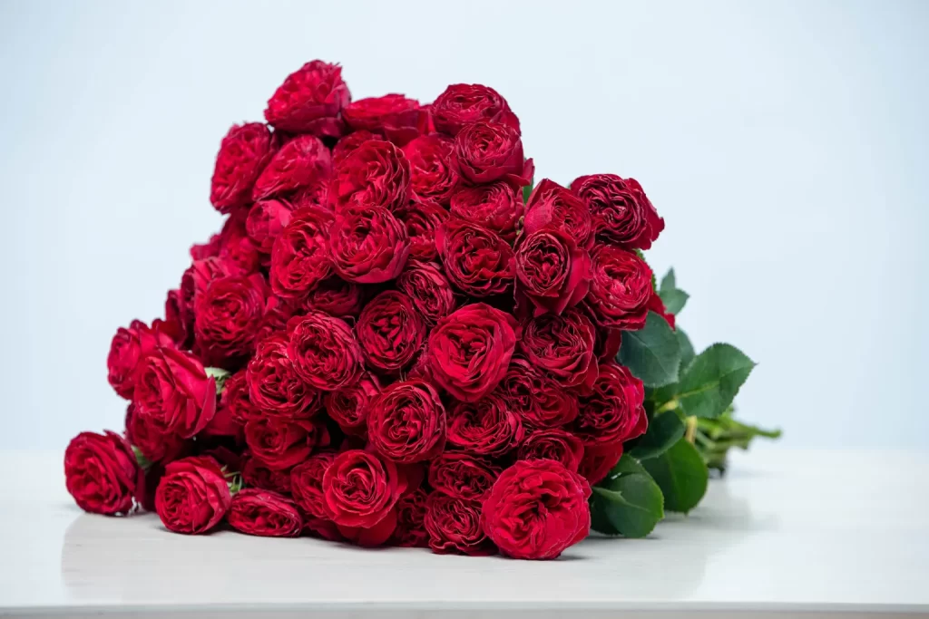 red trendsetter spray roses by kikwetu flowers