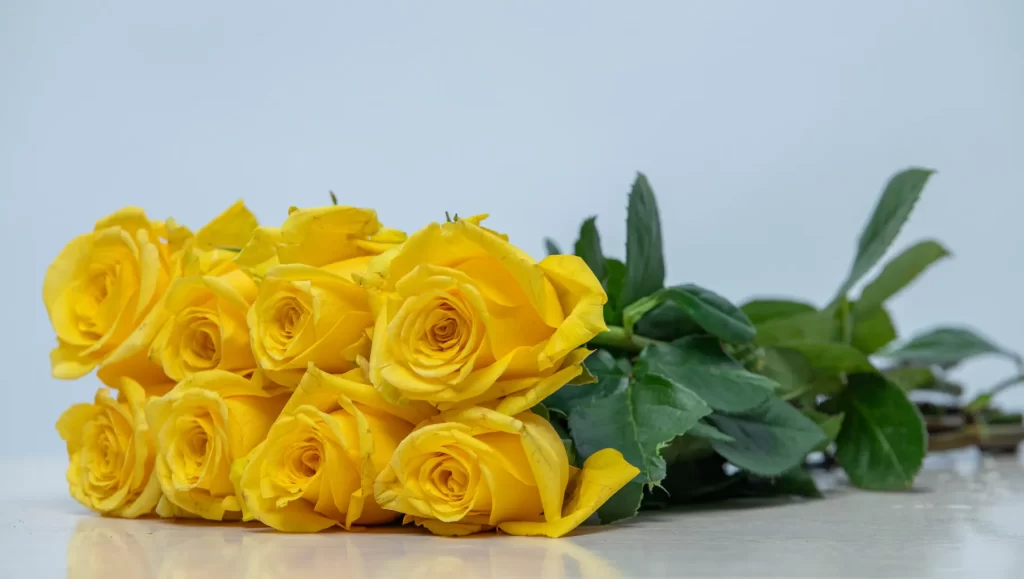 Gold finch yellow rose by kikwetu flowers