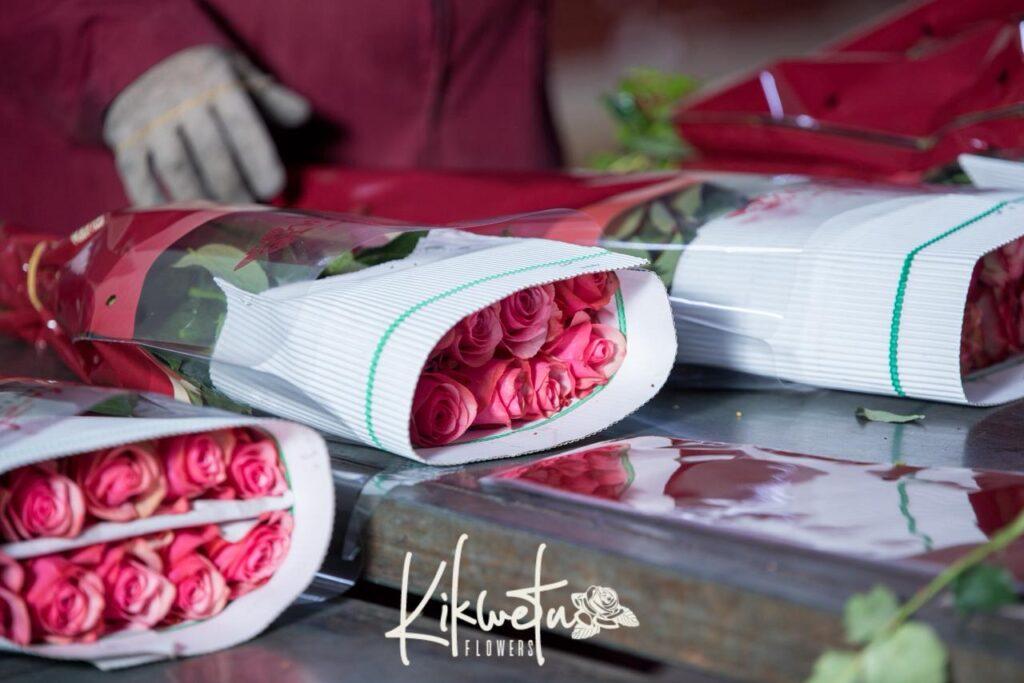 Kenyan roses exporter - transparency in floriculture