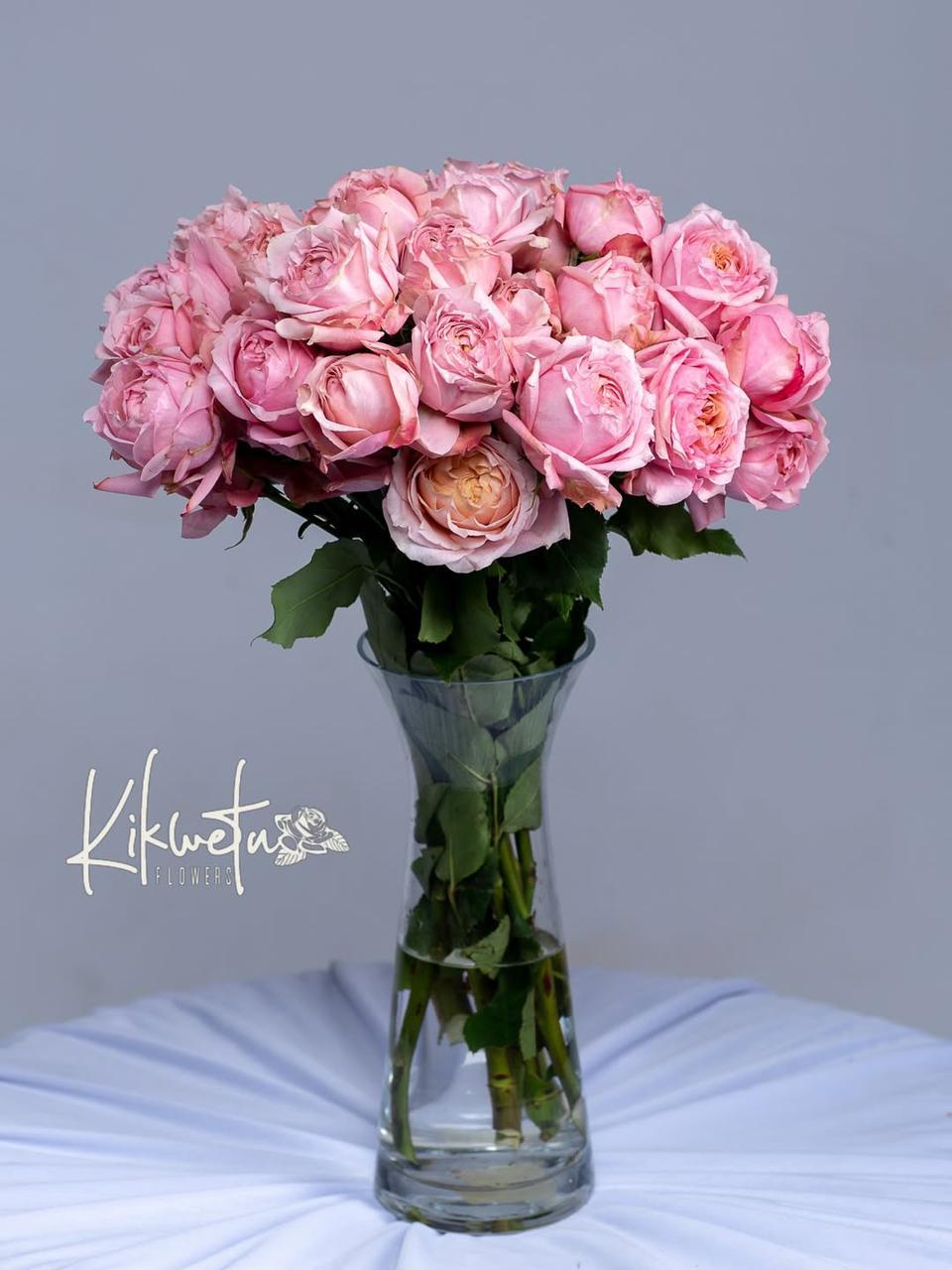 debunking flower care myths at kikwetu