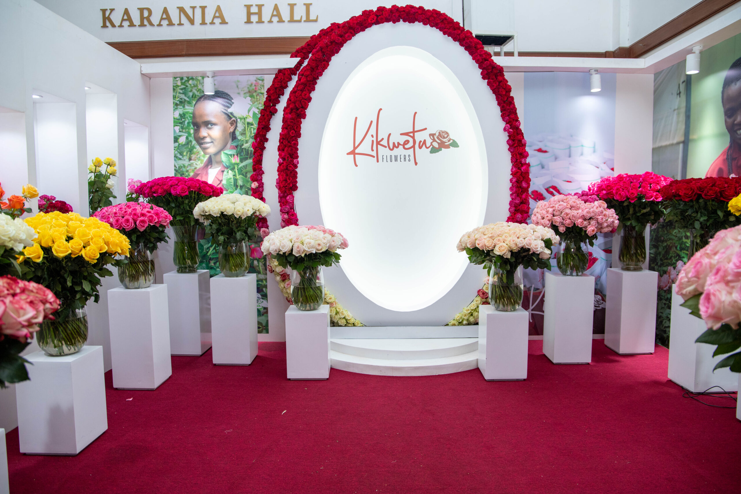 sustainable rose farming in kenya by kikwetu flowers